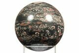 Colorful Fossil Crinoid Stems In Marble Sphere #311639-1